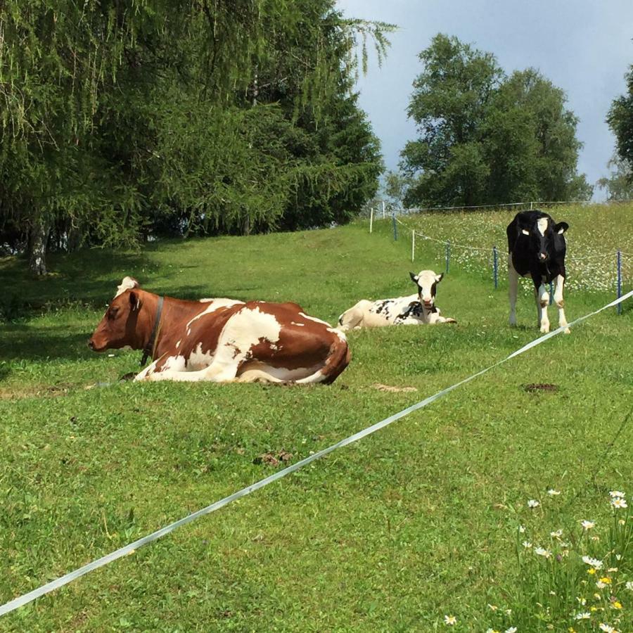 Vila Schneiderhof Seefeld in Tirol Exteriér fotografie